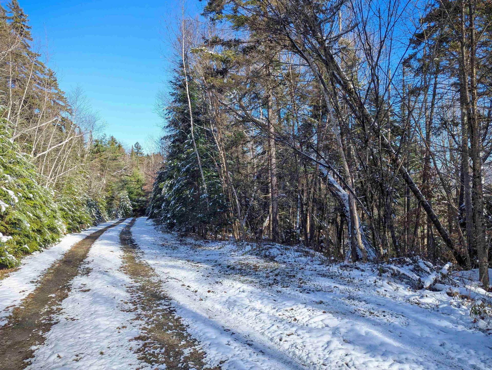 Majestic View Drive Waterford VT 05819