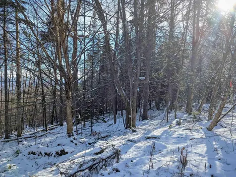 Majestic View Drive Waterford VT 05819