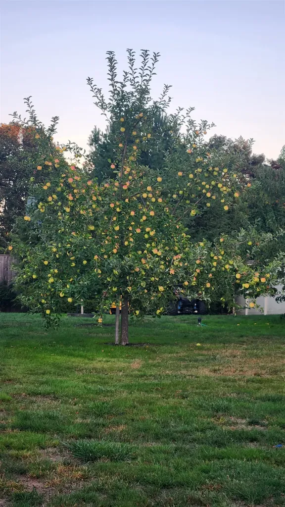 2 Hilliard Drive Hampton NH 03842