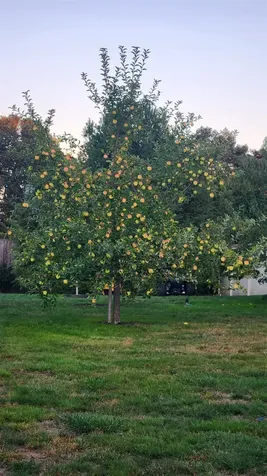 2 Hilliard Drive Hampton NH 03842