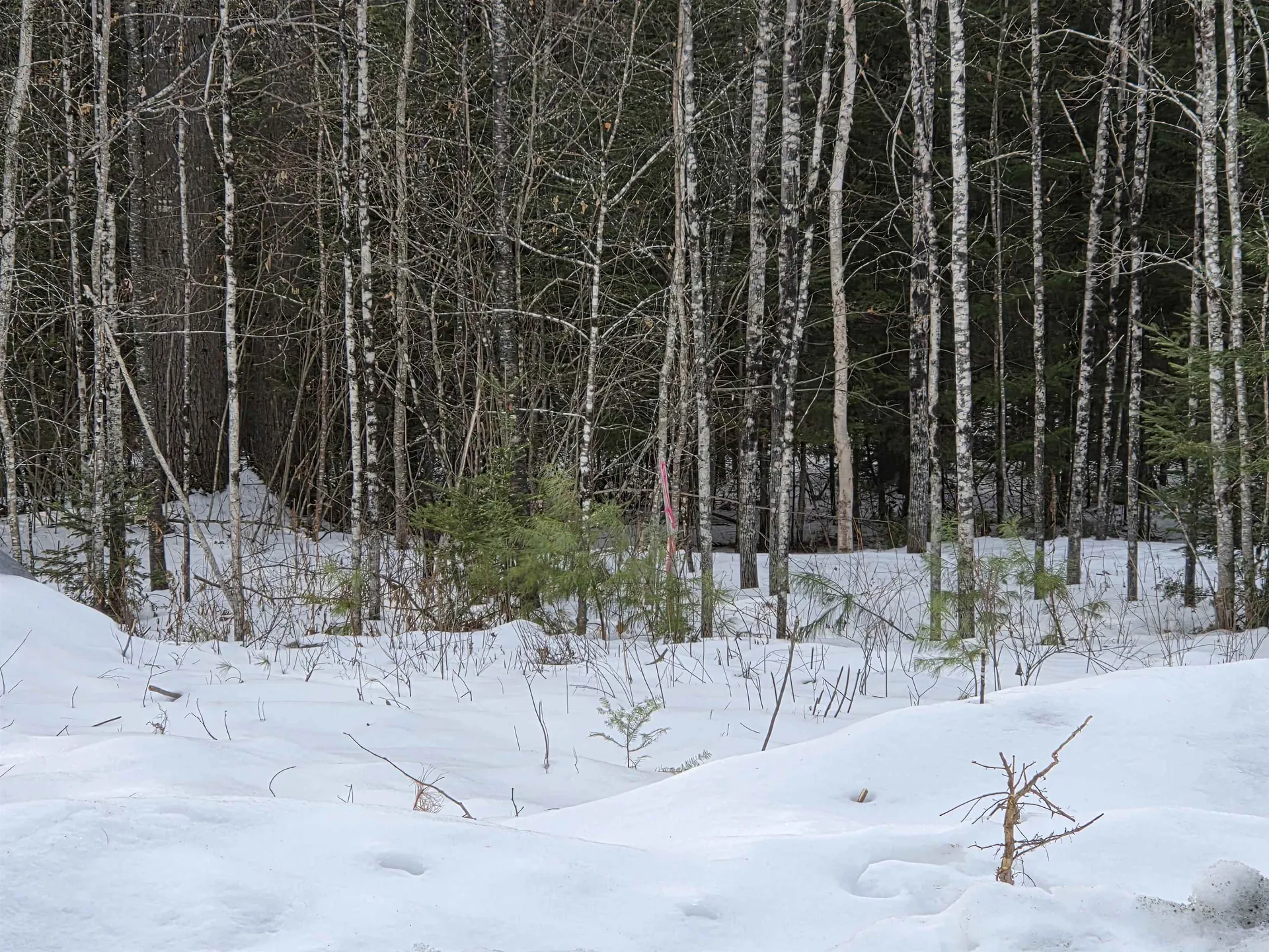 21 Granite Way Canaan NH 03741