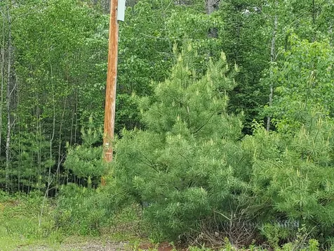21 Granite Way Canaan NH 03741