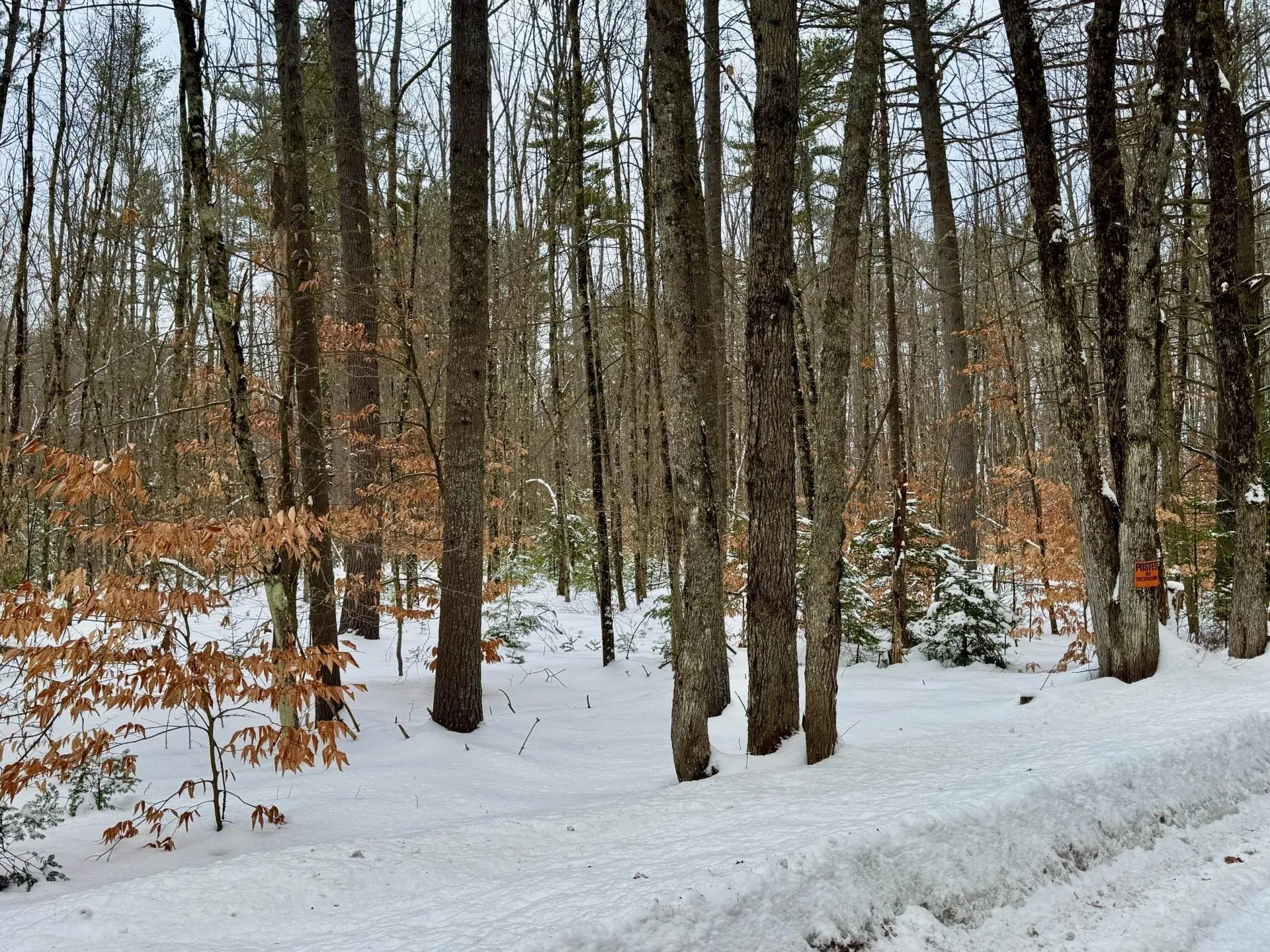 00 Swans Falls Road Fryeburg ME 04037