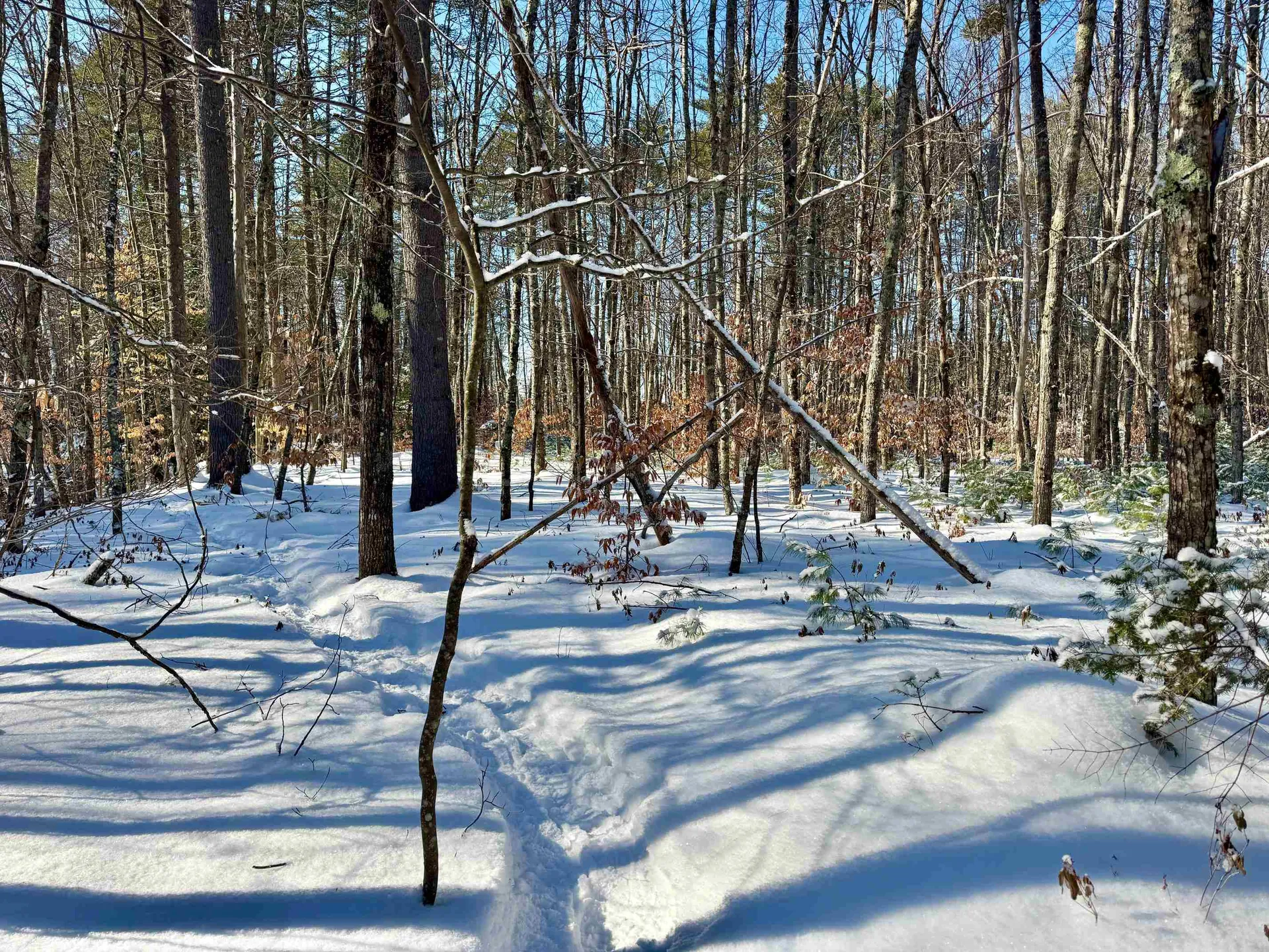 00 Swans Falls Road Fryeburg ME 04037
