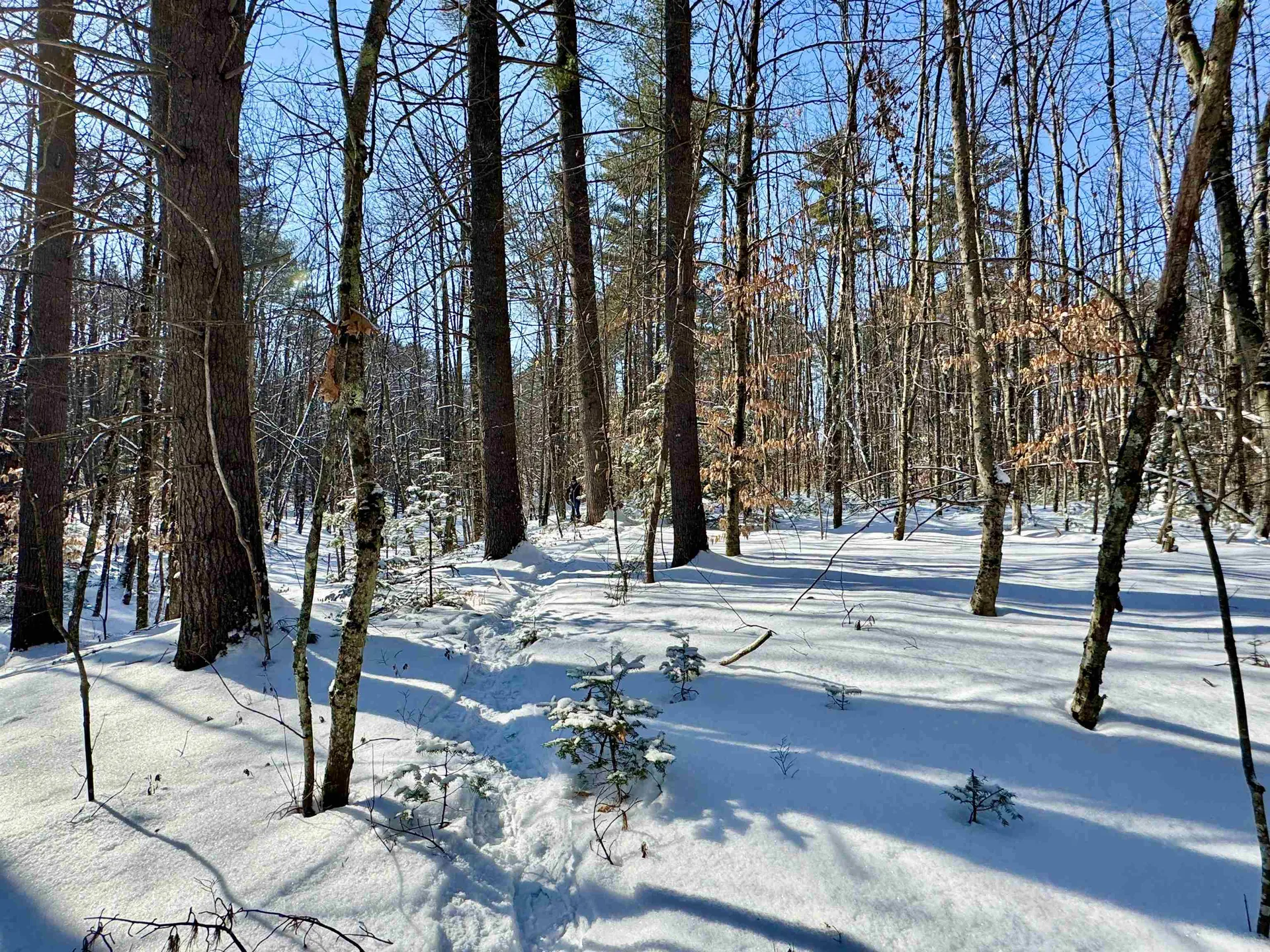 00 Swans Falls Road Fryeburg ME 04037