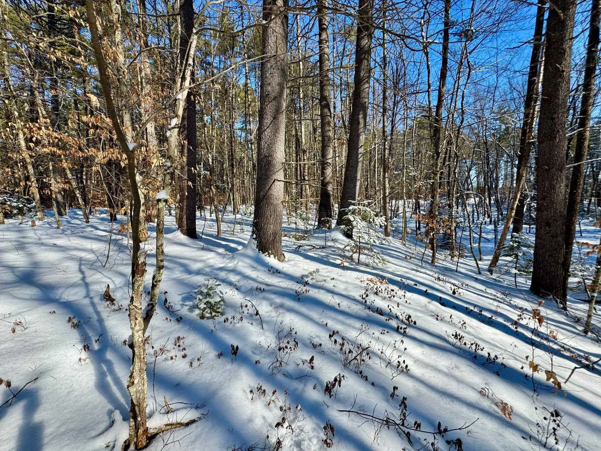 00 Swans Falls Road Fryeburg ME 04037
