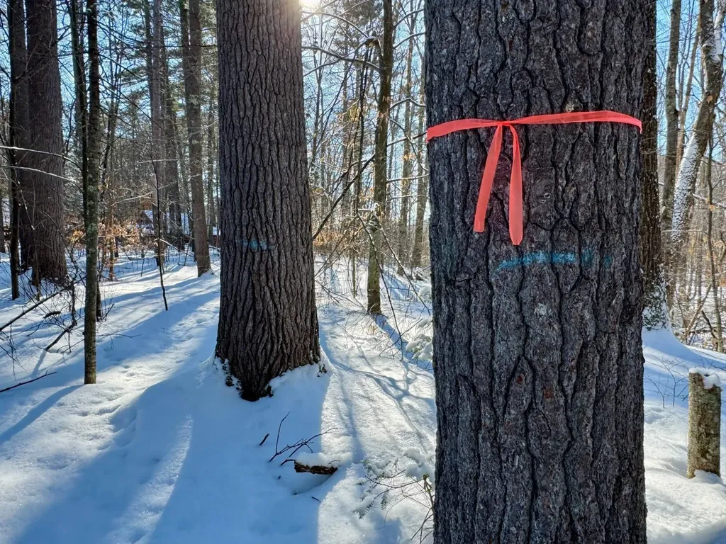 00 Swans Falls Road Fryeburg ME 04037