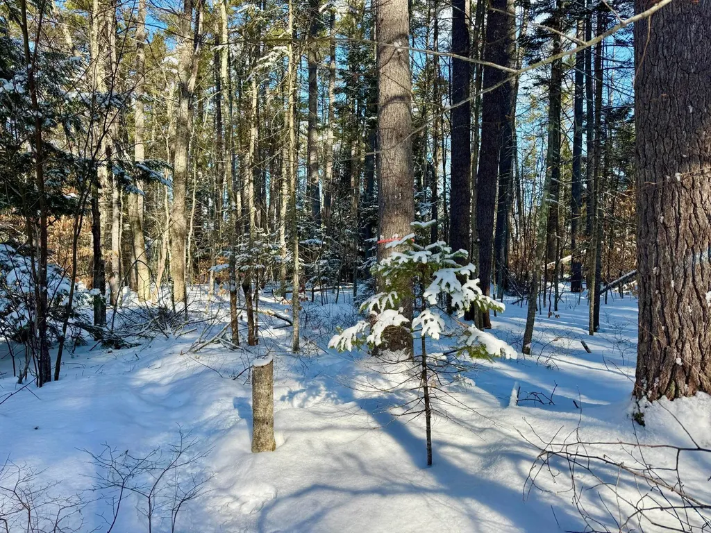 00 Swans Falls Road Fryeburg ME 04037