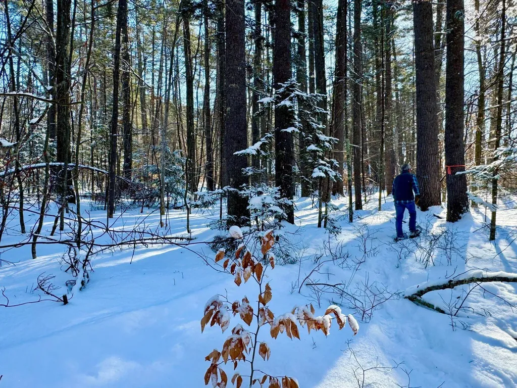 00 Swans Falls Road Fryeburg ME 04037