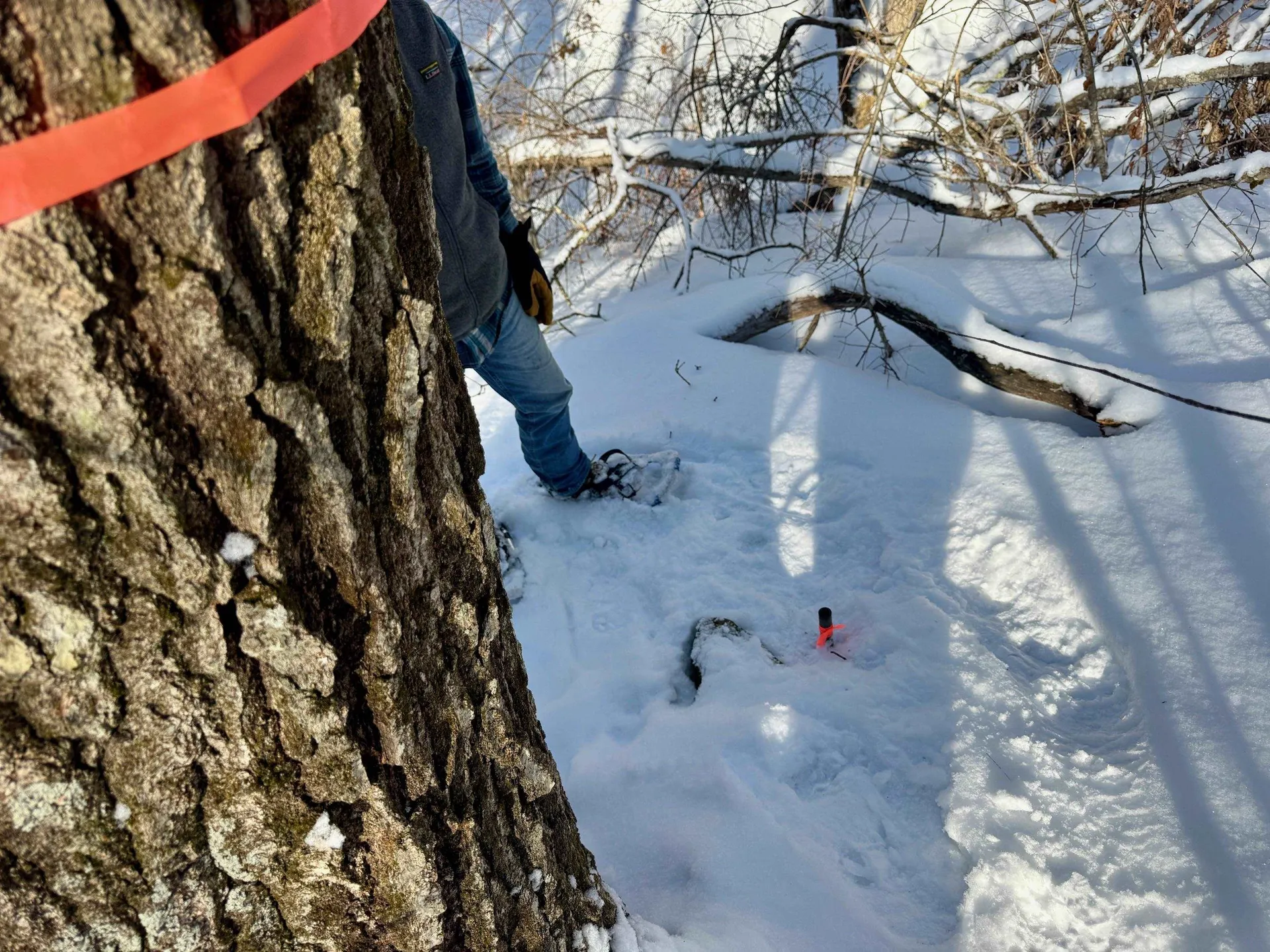 00 Swans Falls Road Fryeburg ME 04037