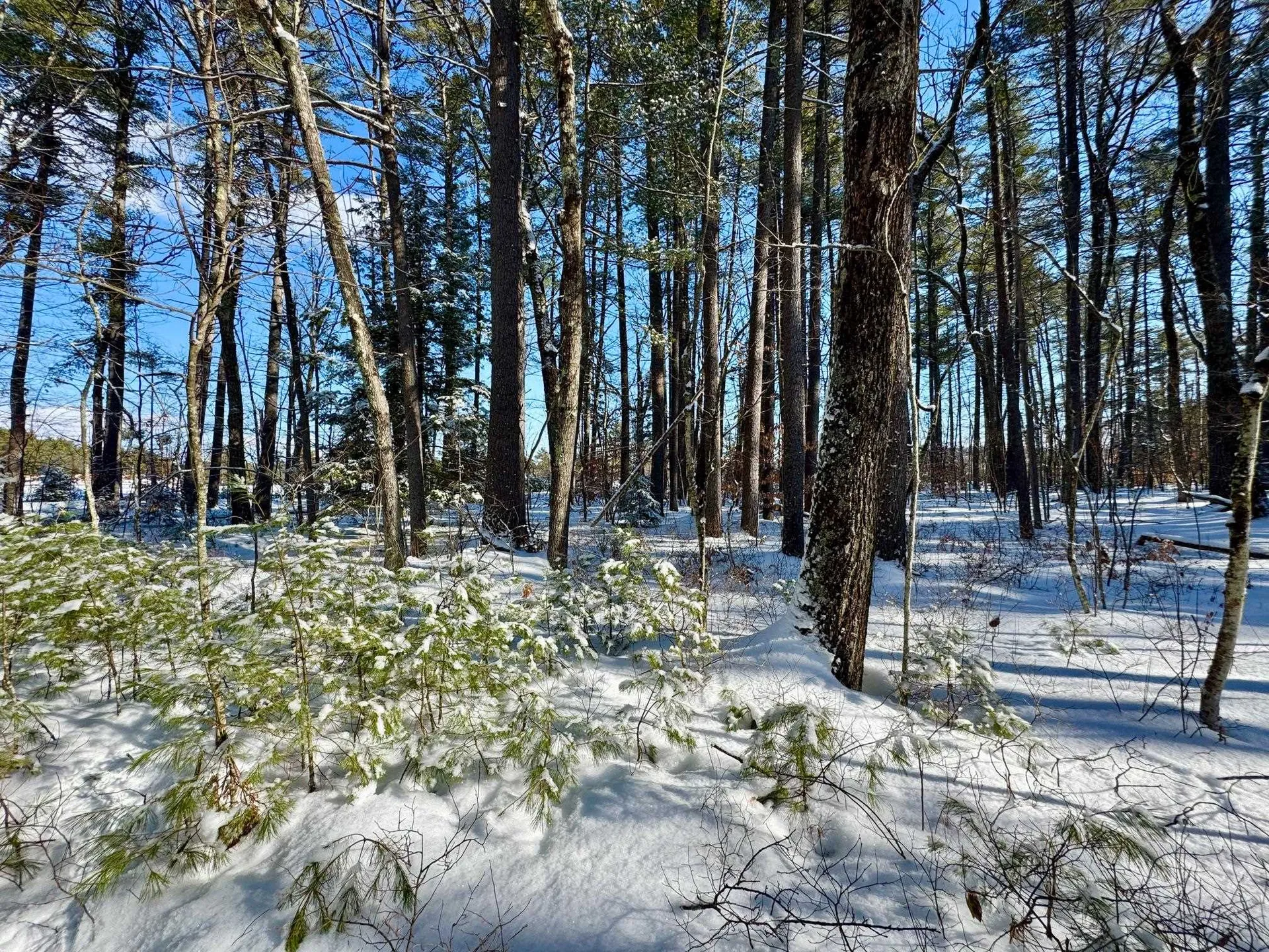 00 Swans Falls Road Fryeburg ME 04037