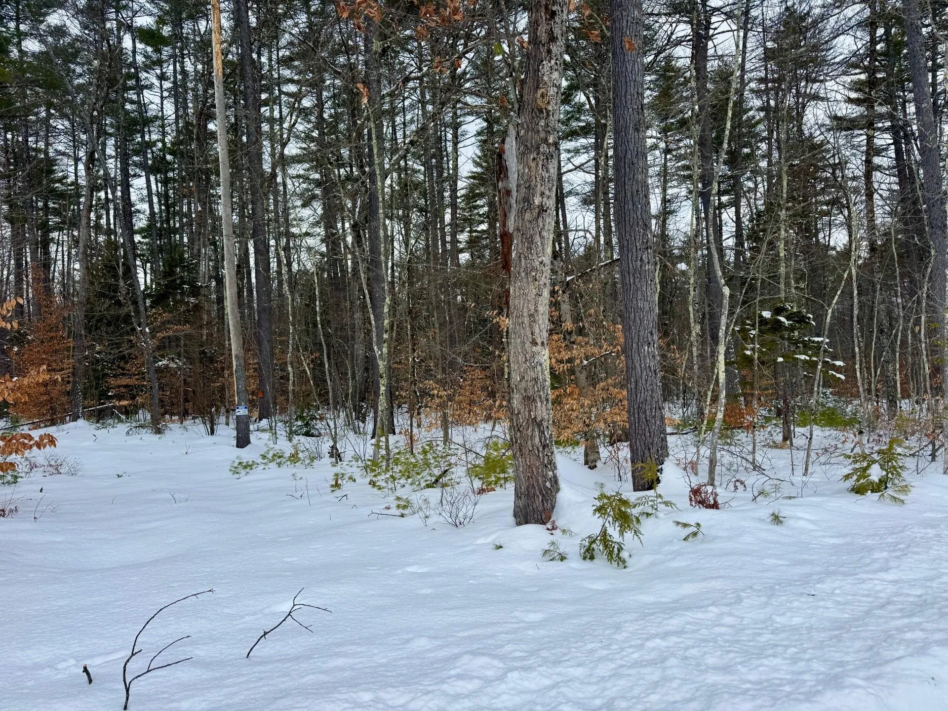 00 Swans Falls Road Fryeburg ME 04037