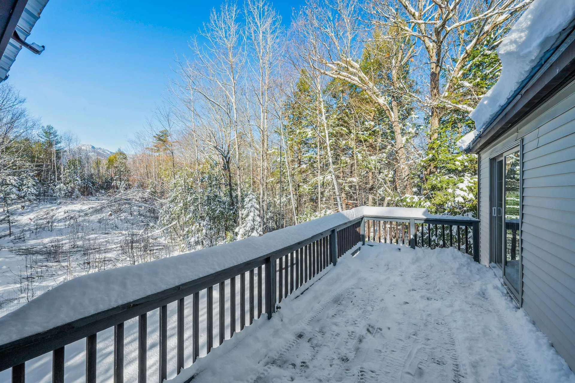 8 Ross Farm Road Albany NH 03818