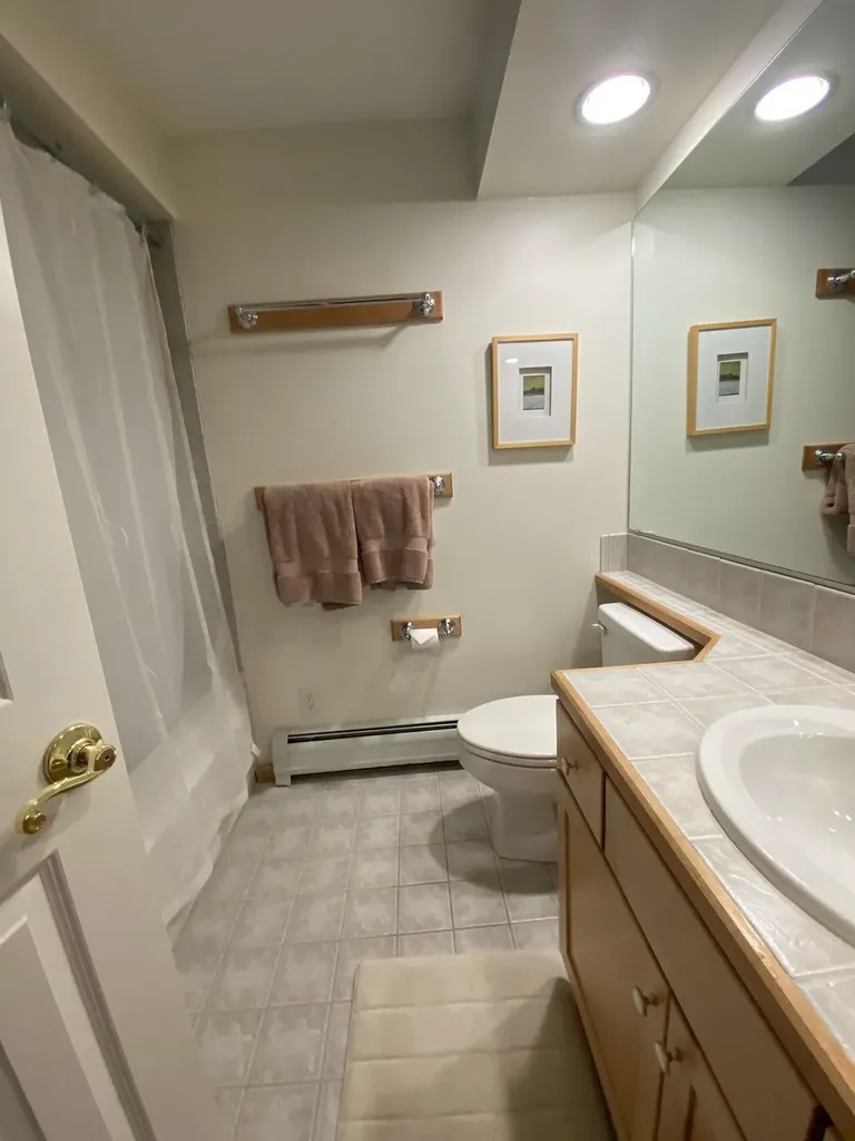 19B Kingswood Road Dover VT 05356