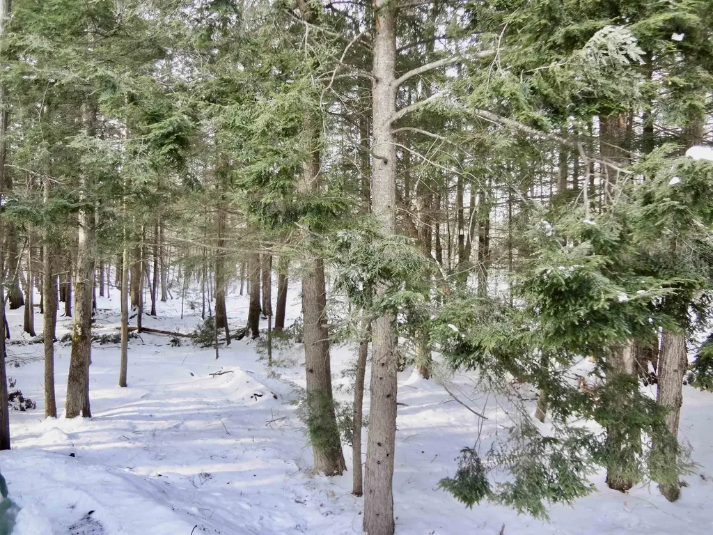 344 Old Lakeshore Road Gilford NH 03249