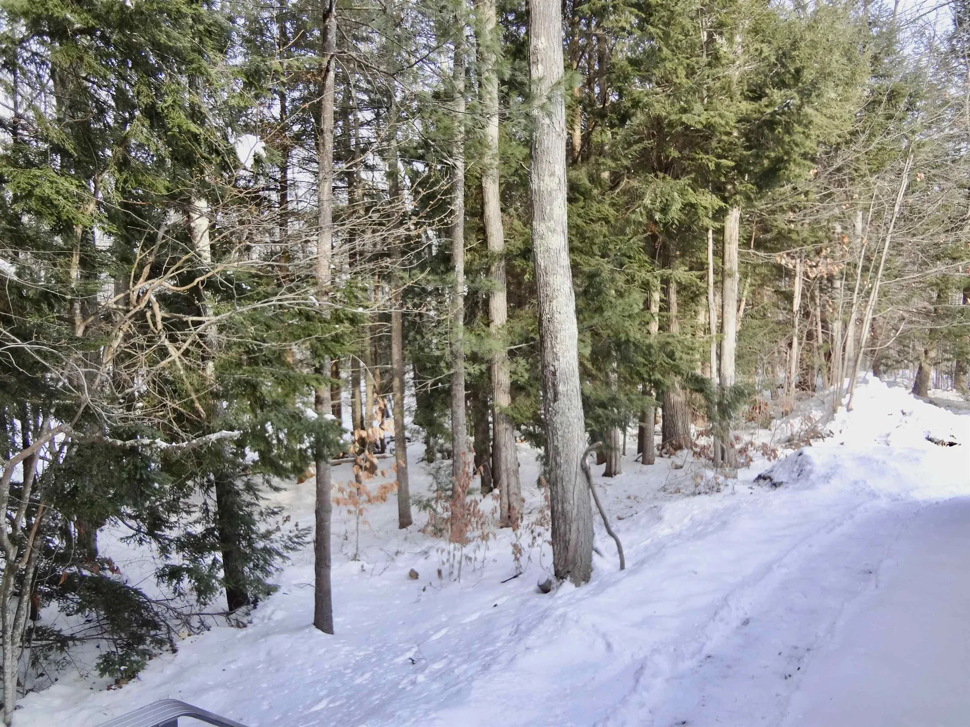 344 Old Lakeshore Road Gilford NH 03249