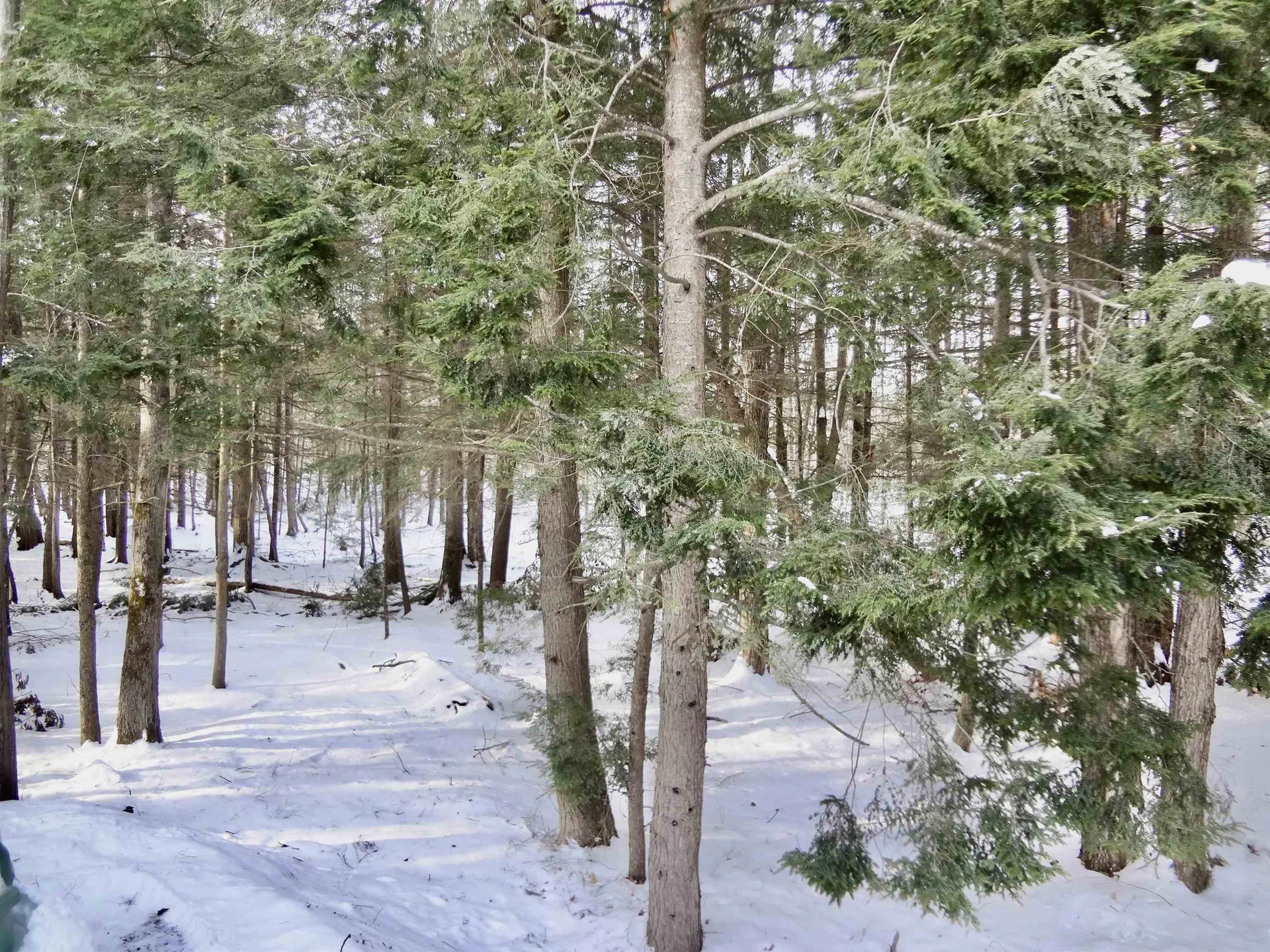 344 Old Lakeshore Road Gilford NH 03249