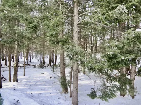 344 Old Lakeshore Road Gilford NH 03249
