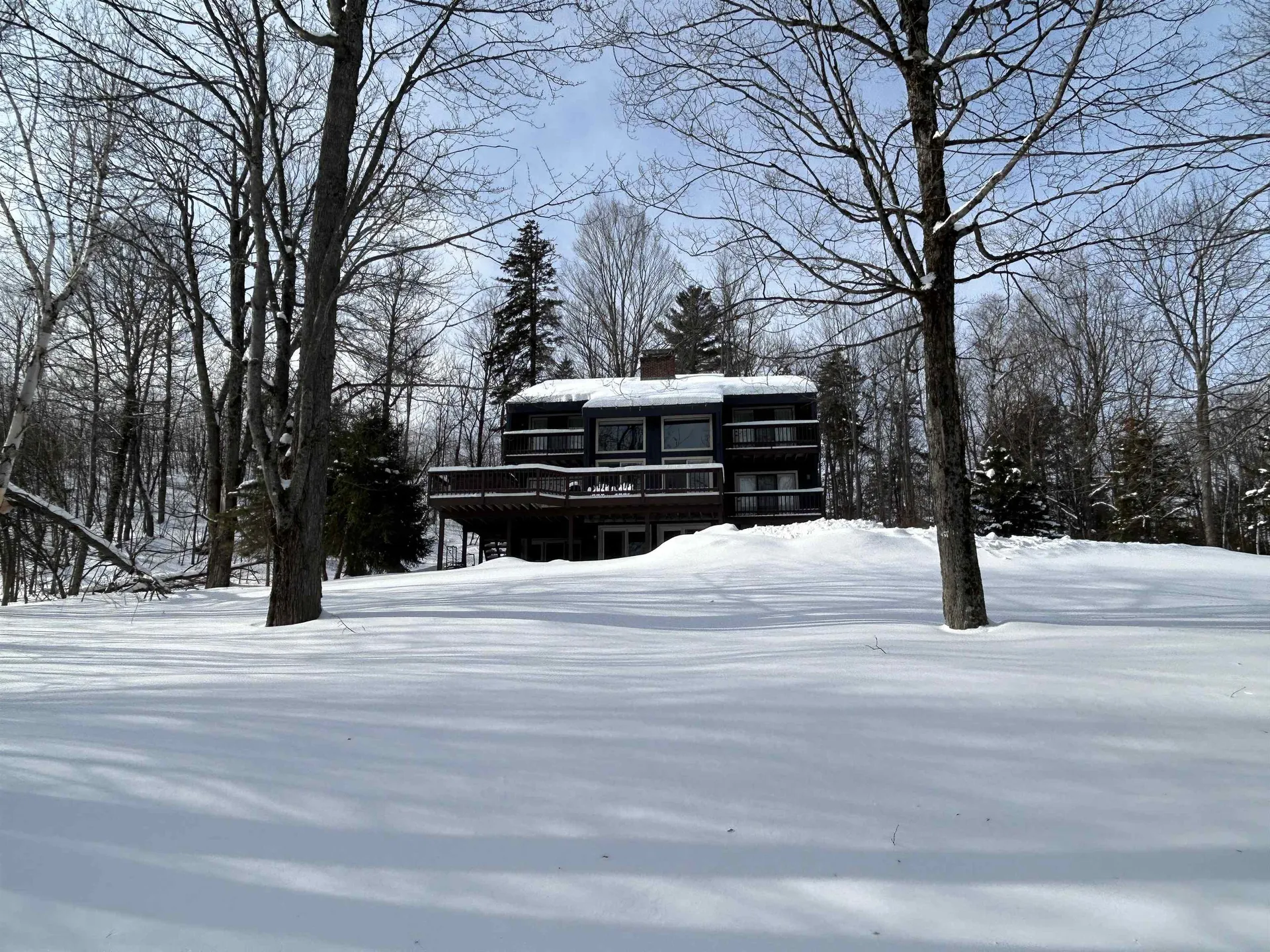 13 Betty Johnson Lane Winhall VT 05340
