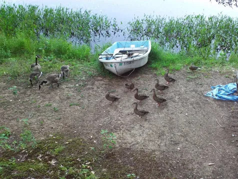 9 Patriot Lane Sanbornton NH 03269