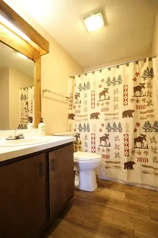 10 Sunny Side Way Waterville Valley NH 03215