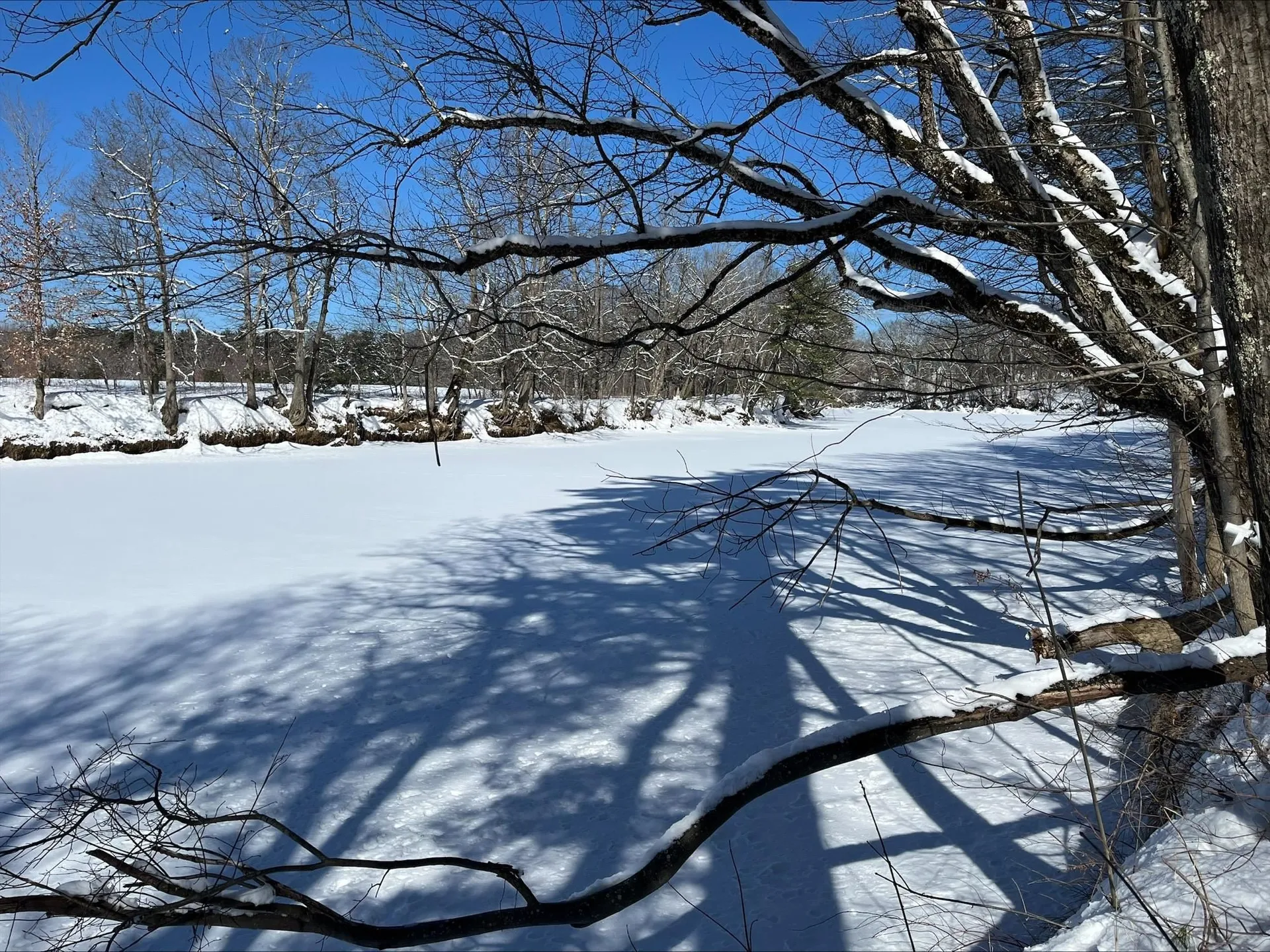 290 East Side Road Conway NH 03818