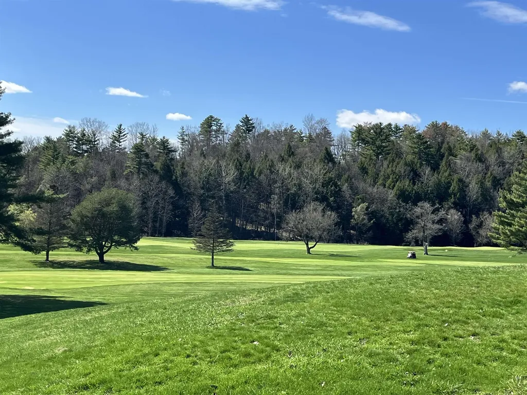 119 Town Farm Road Brandon VT 05733