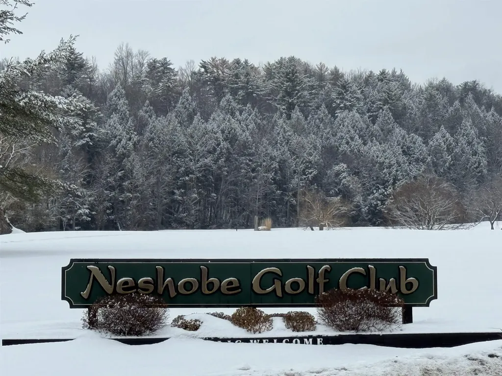 119 Town Farm Road Brandon VT 05733