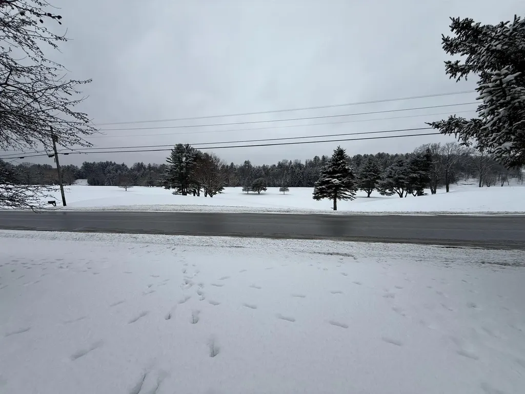 119 Town Farm Road Brandon VT 05733