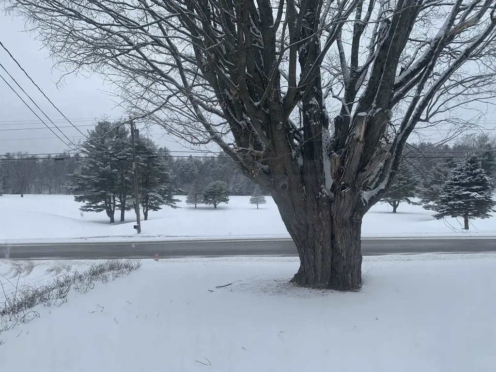 119 Town Farm Road Brandon VT 05733