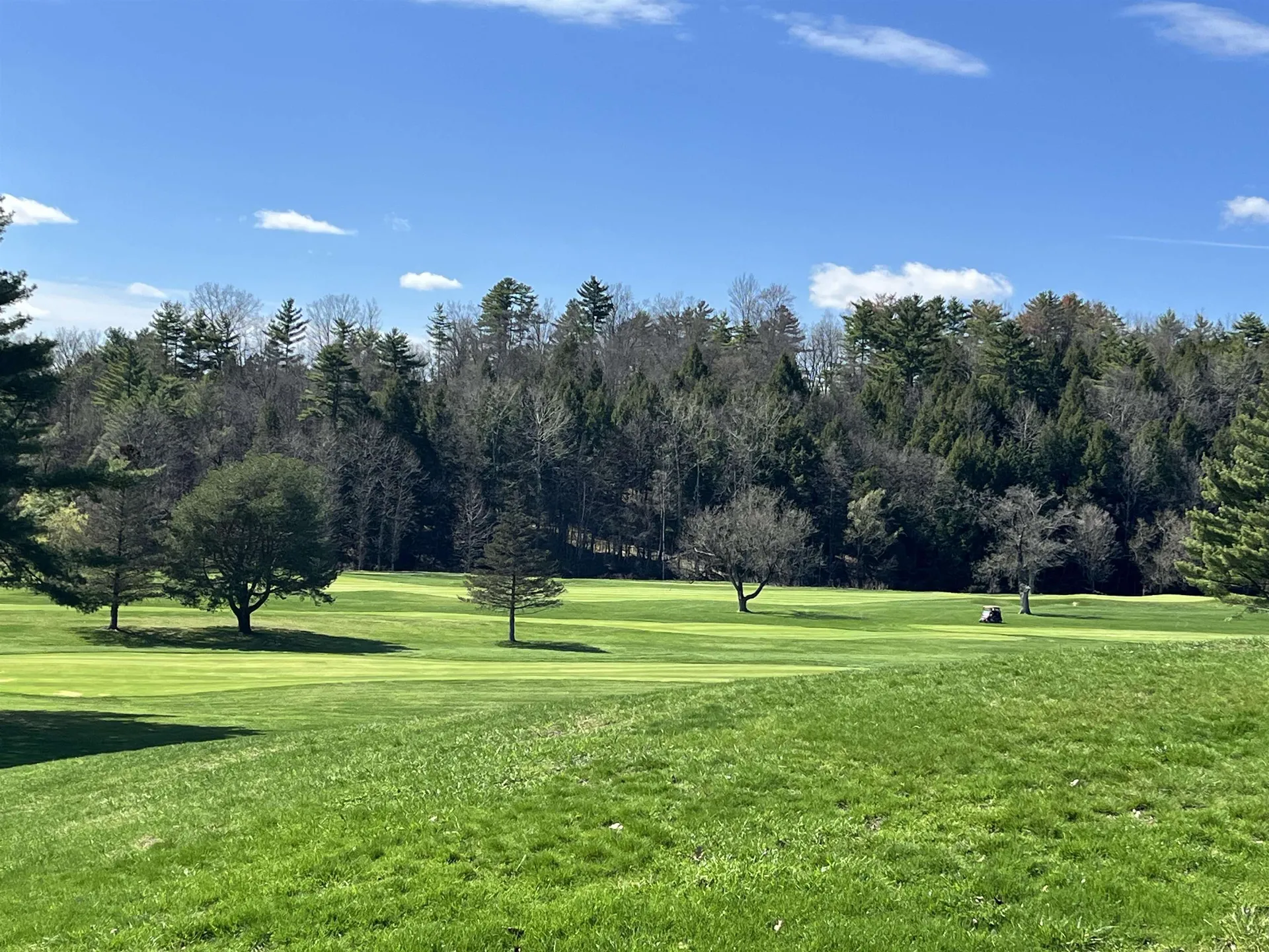 119 Town Farm Road Brandon VT 05733