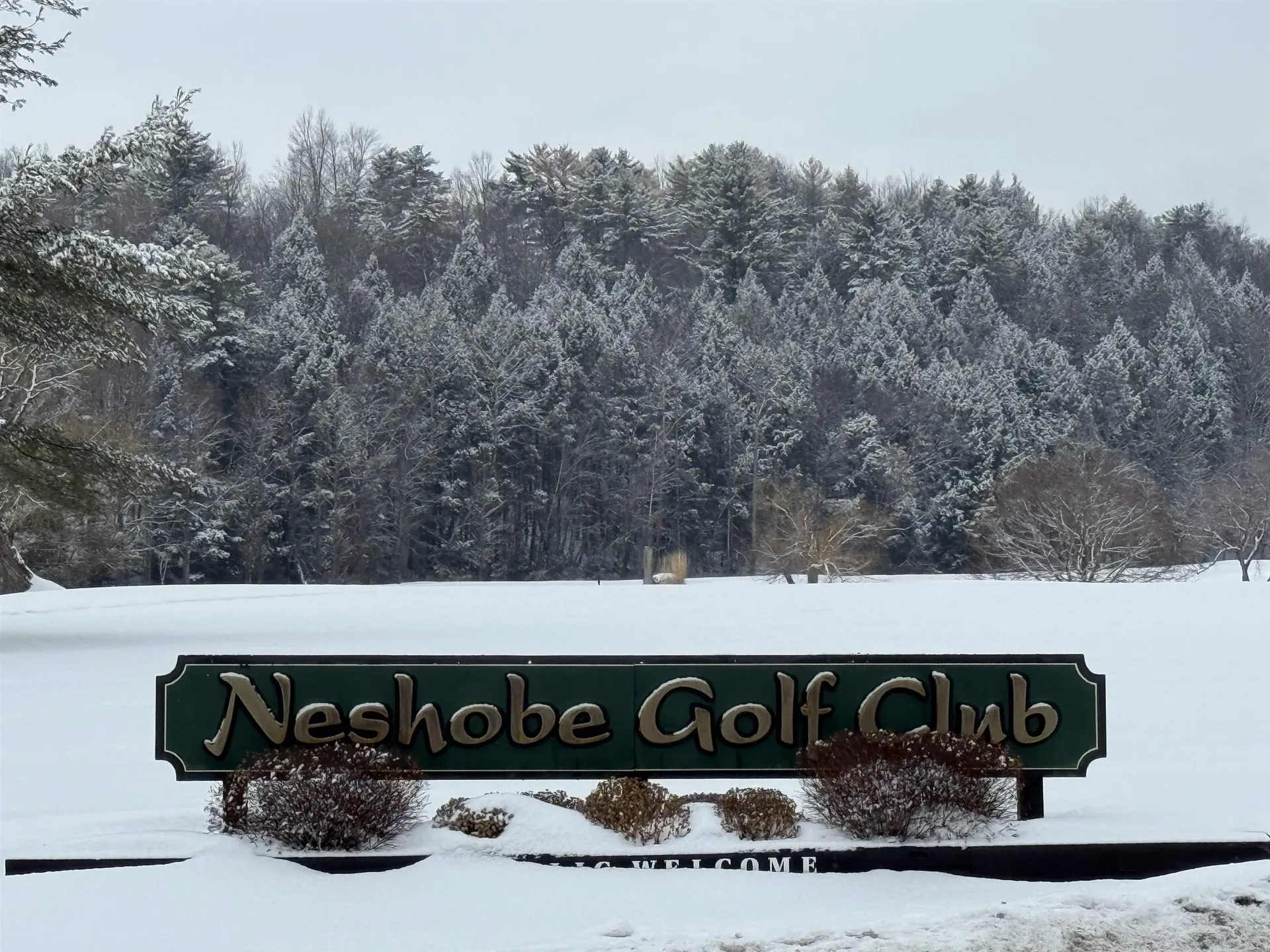 119 Town Farm Road Brandon VT 05733