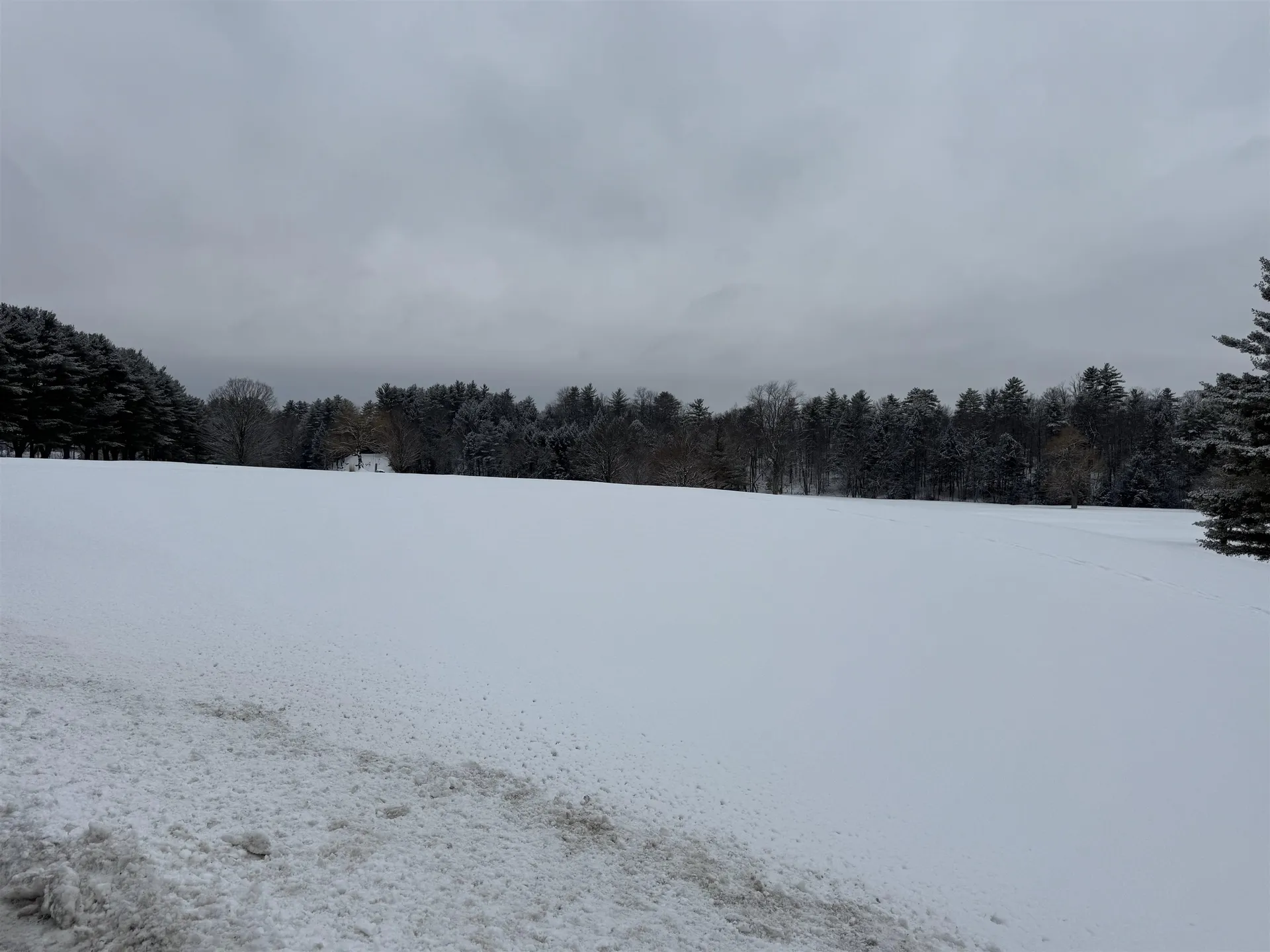 119 Town Farm Road Brandon VT 05733