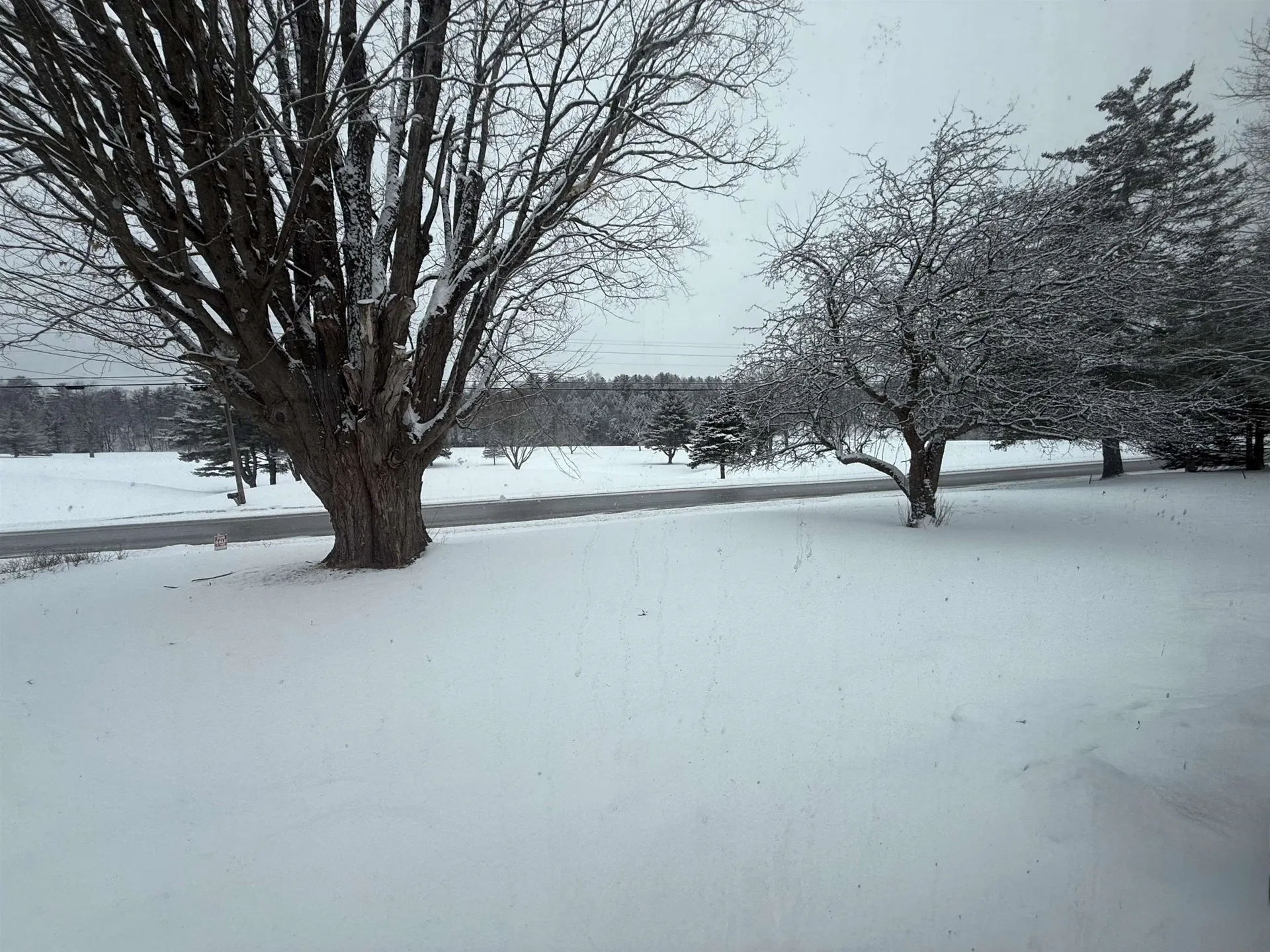 119 Town Farm Road Brandon VT 05733