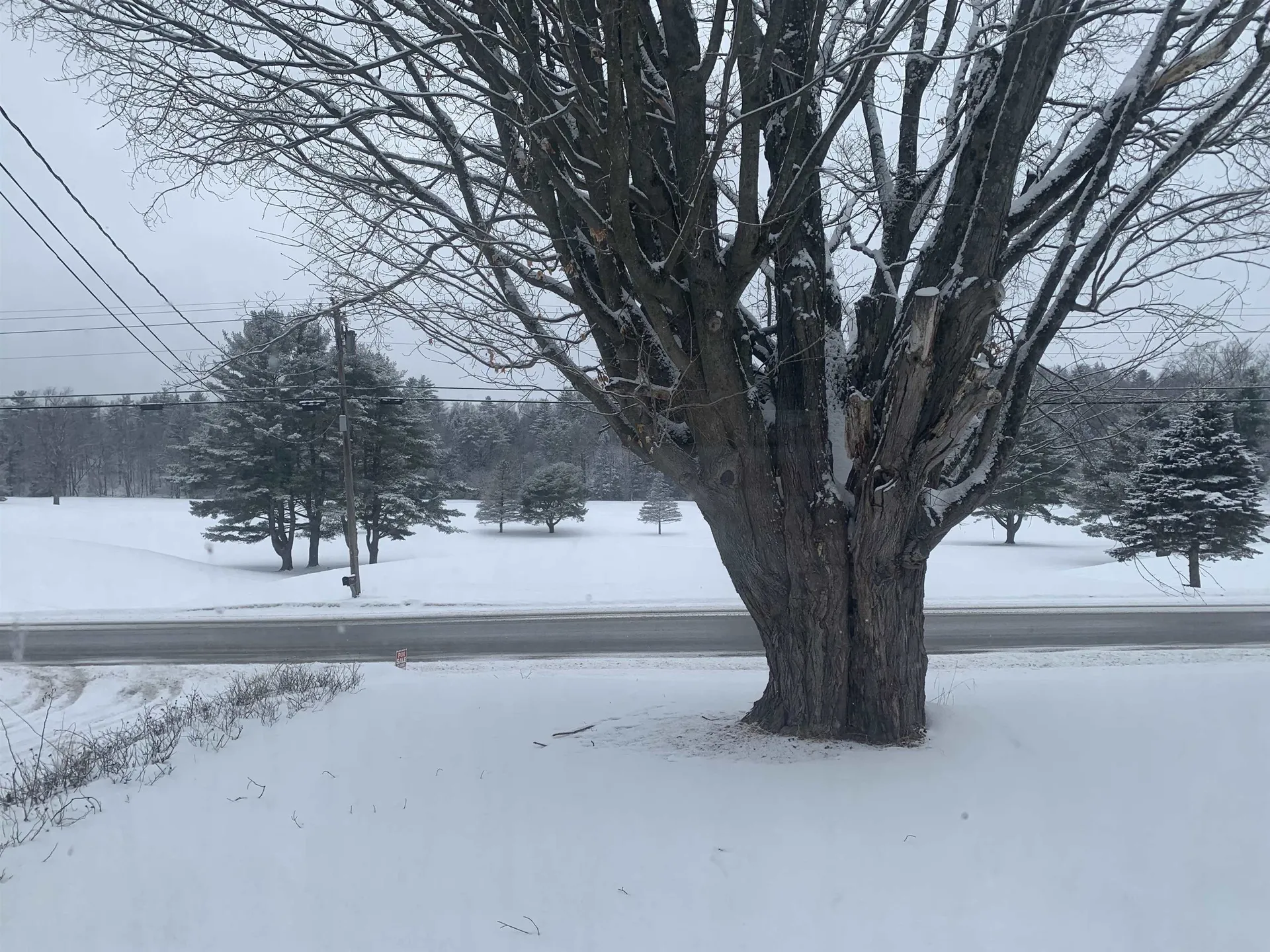 119 Town Farm Road Brandon VT 05733