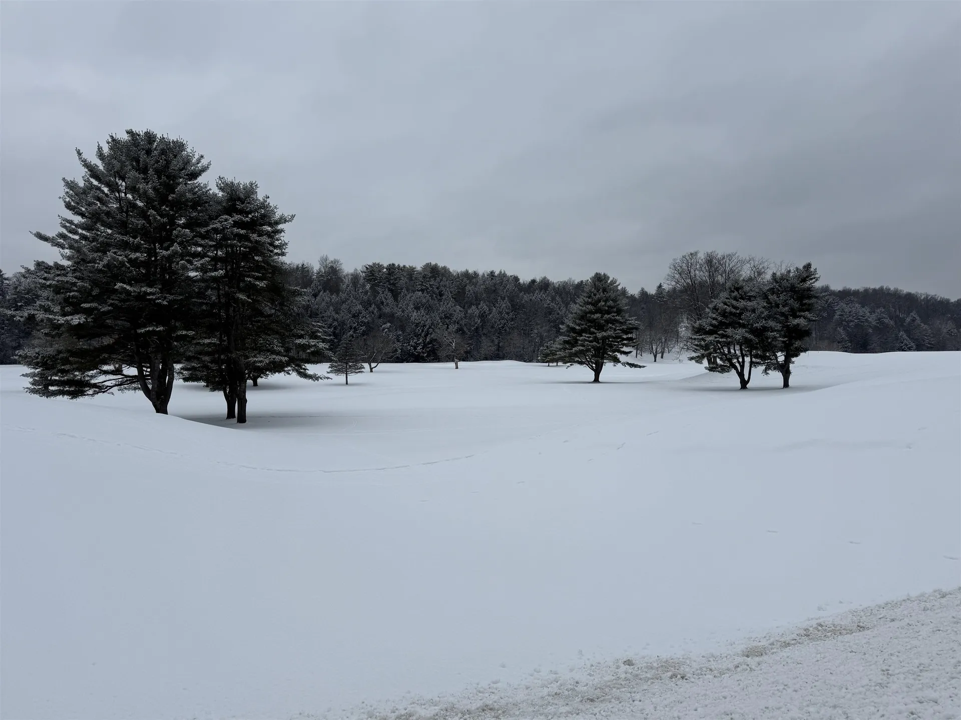 119 Town Farm Road Brandon VT 05733