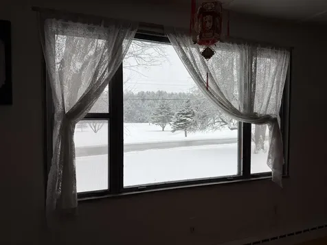 119 Town Farm Road Brandon VT 05733