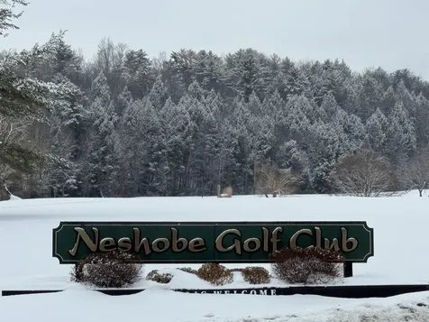 119 Town Farm Road Brandon VT 05733