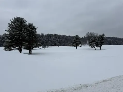 119 Town Farm Road Brandon VT 05733