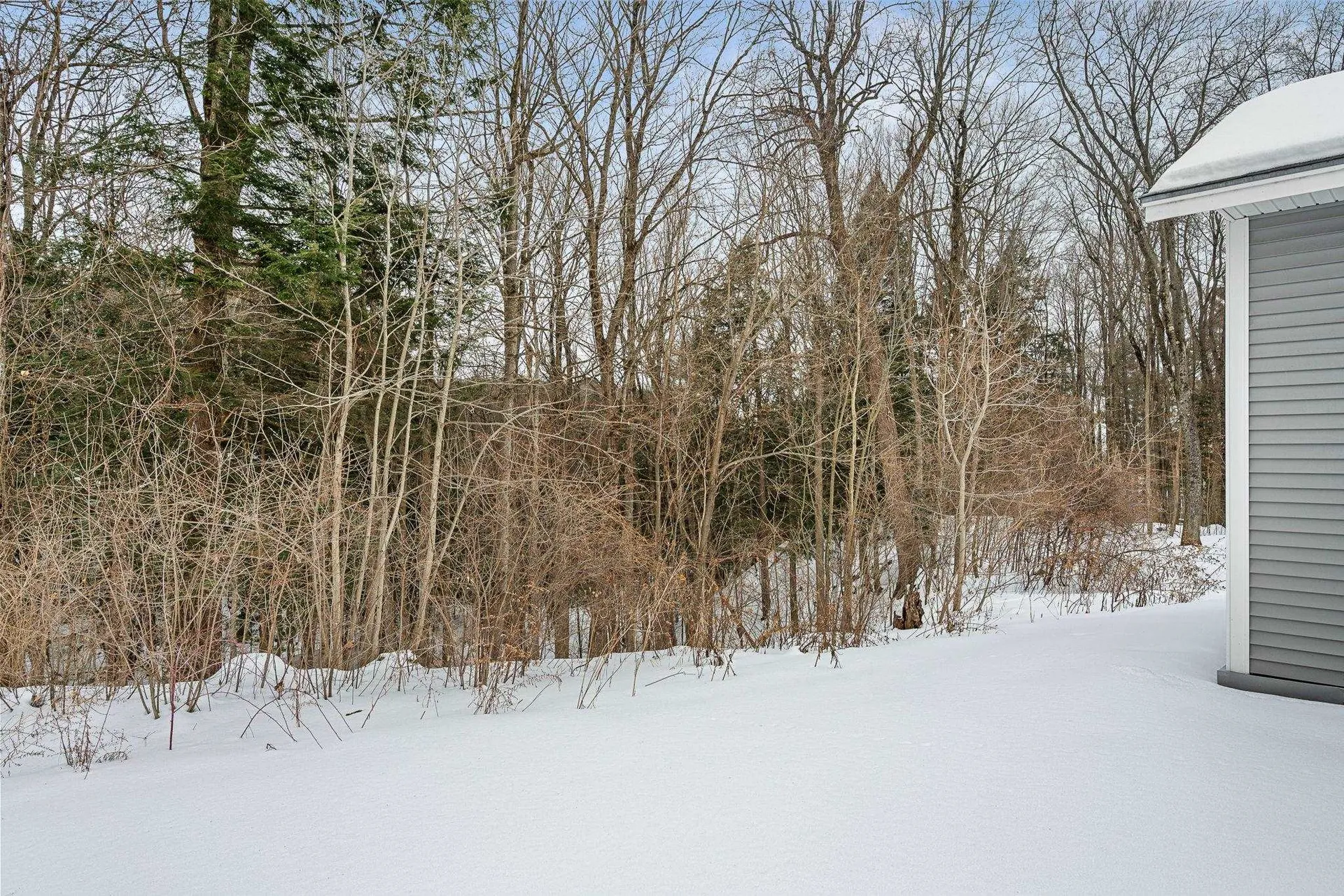 64 Webster Ridge Shelburne VT 05482