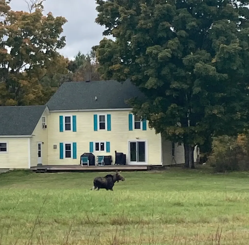 79 High Street Pittsfield NH 03263