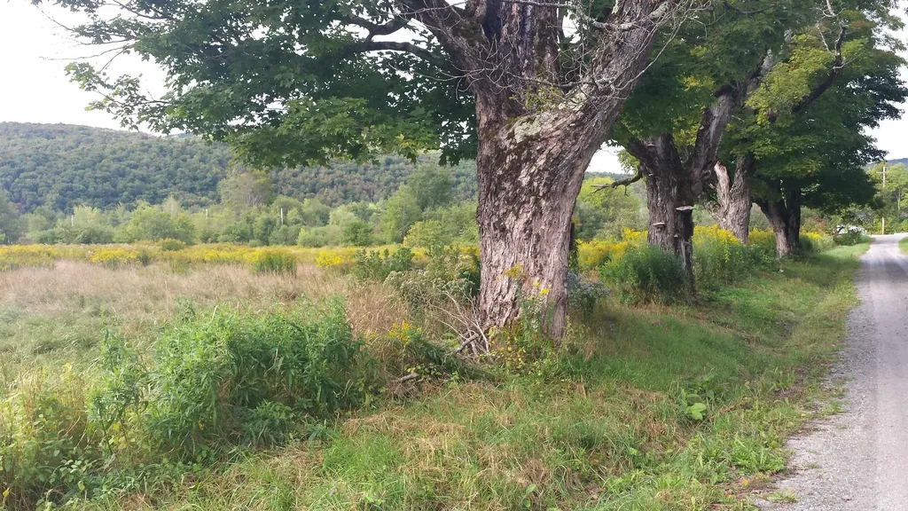 0 Old County Lane Readsboro VT 05350