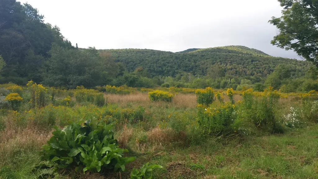 0 Old County Lane Readsboro VT 05350