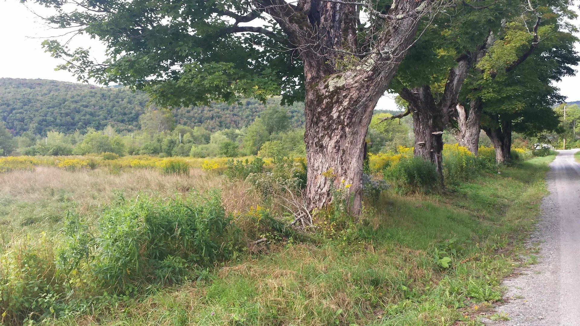 0 Old County Lane Readsboro VT 05350