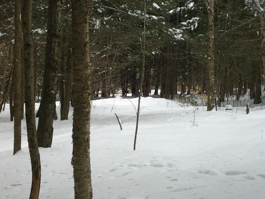 0 Plot Road Johnson VT 05656