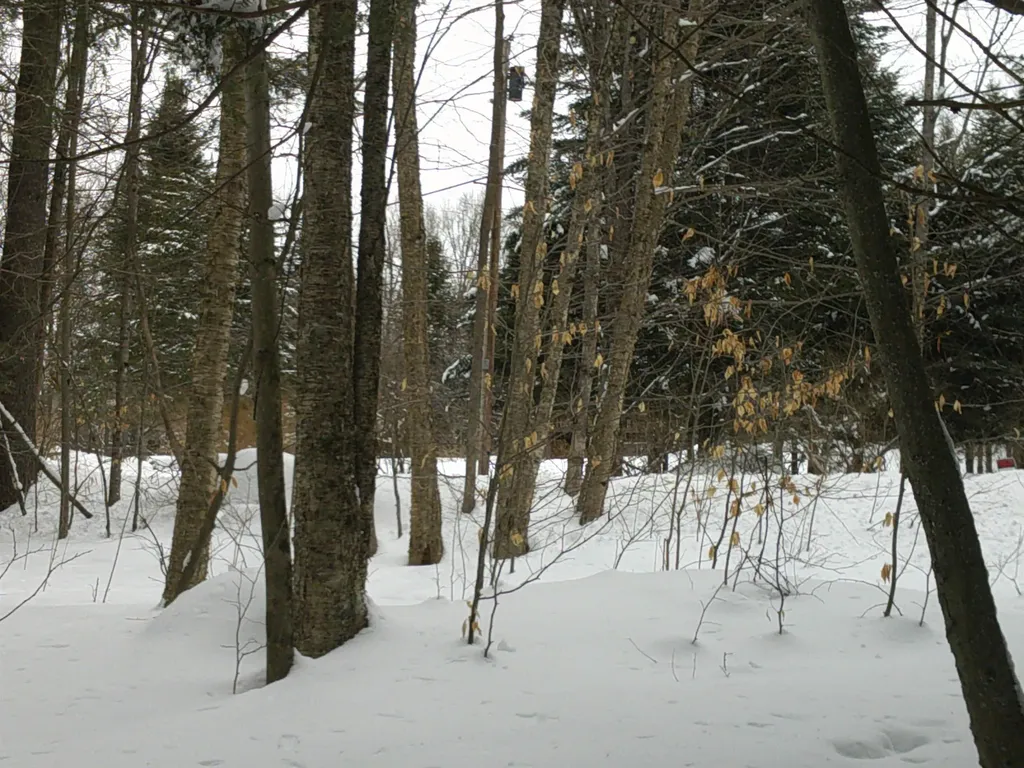 0 Plot Road Johnson VT 05656