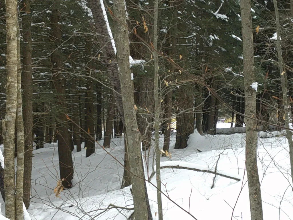 0 Plot Road Johnson VT 05656