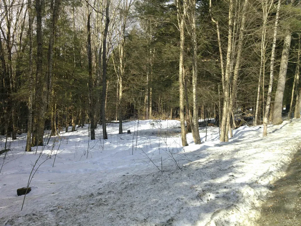 0 Plot Road Johnson VT 05656