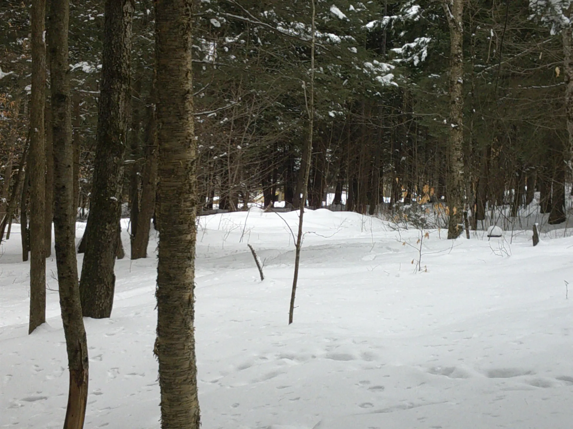 0 Plot Road Johnson VT 05656