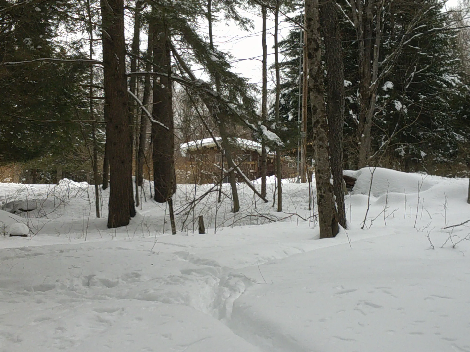 0 Plot Road Johnson VT 05656